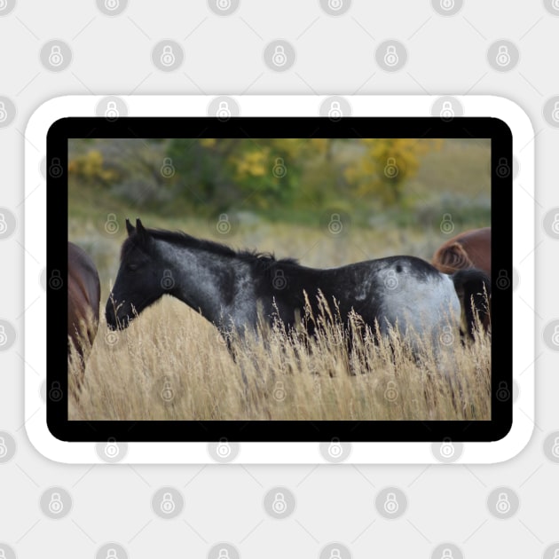 Grey and Black Wild Horse Sticker by MarieDarcy